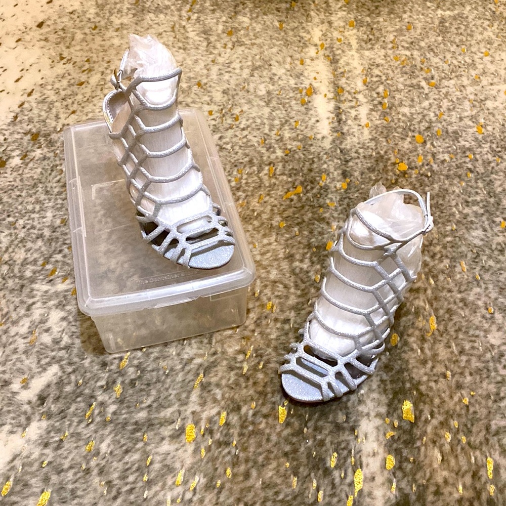 Silver cage pump